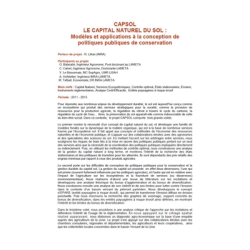 Projet CAPSOL